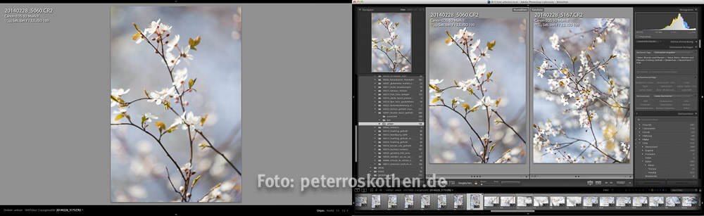 Fotokurs Bildbearbeitung erlernen