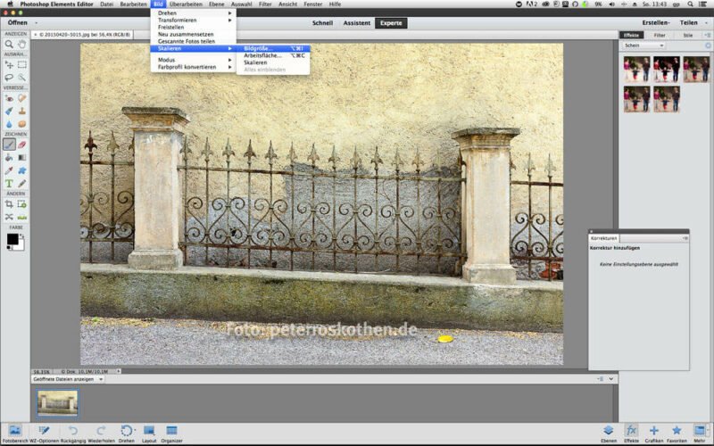 Druckbares Foto mit Adobe Elements speichern