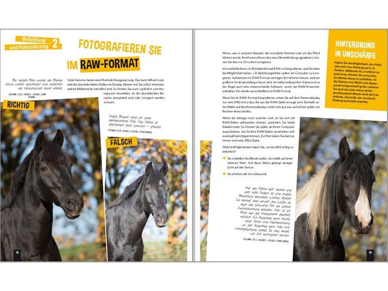 Fotobuch Mein Pferd Belichtung