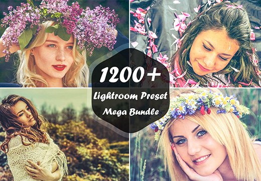 Lightroom Presets Und Photoshop Aktionen Angebot