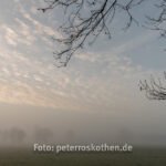 Fujifilm X-T2 Testfoto am Niederrhein - MorgenstimmungFujifilm X-T2 Testfoto am Niederrhein - Morgenstimmung