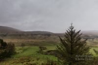 Isle of Skye Fairy Glen