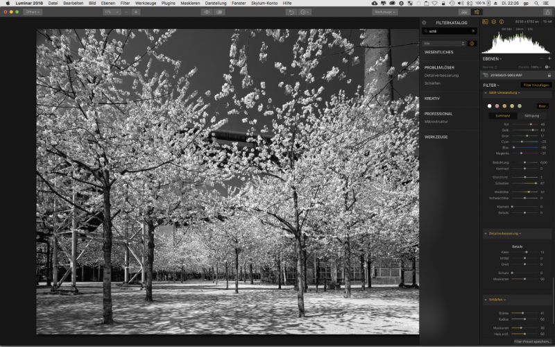 Luminar ist eine Photoshop Alternative und wandelt auch in Schwarzweisse Fotos