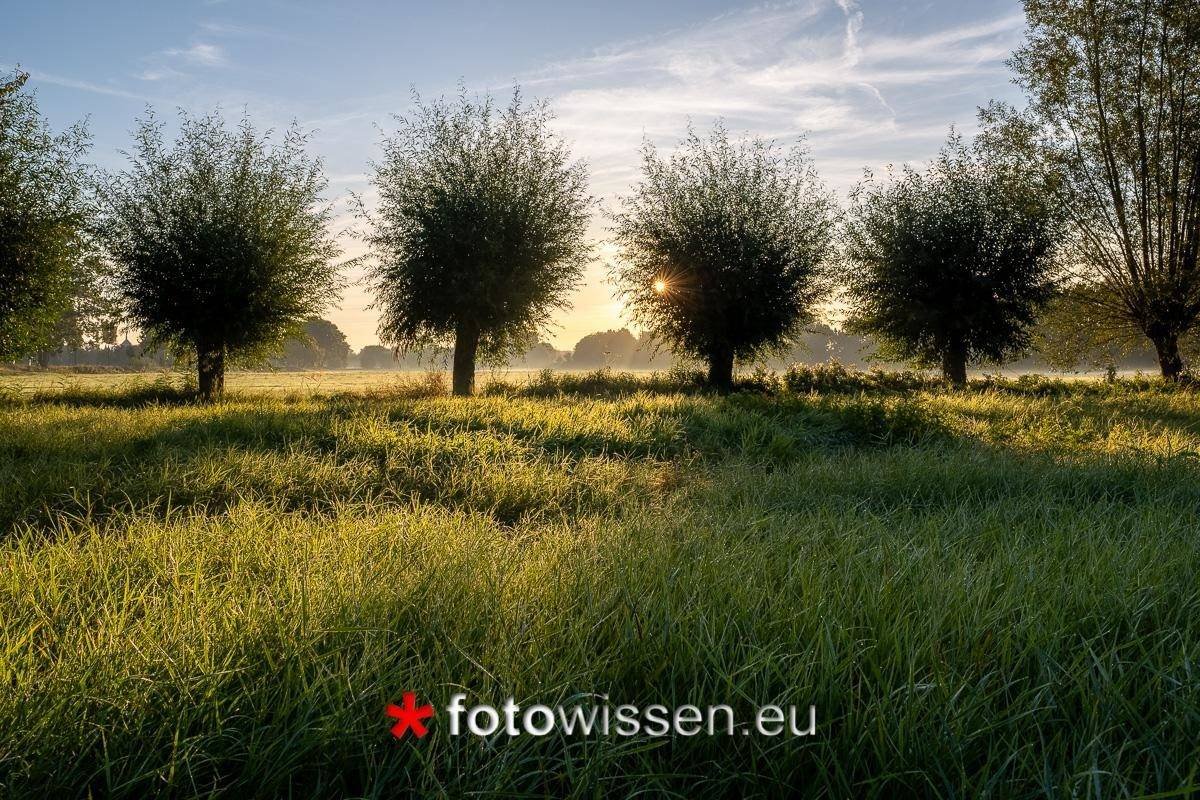 Testfoto Fujinon XF16m F/1.4 - Morgenstimmung am Niederrhein