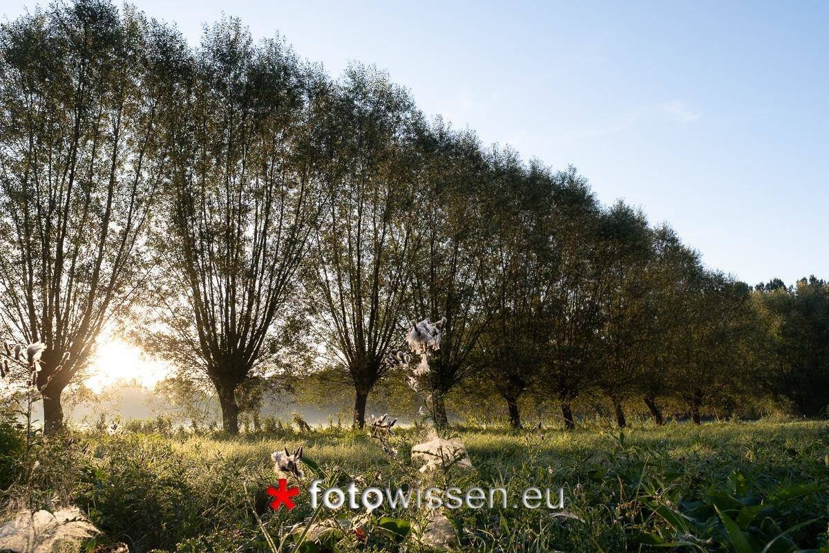 Testfoto Fujinon XF16m F/1.4 - Morgenstimmung am Niederrhein - HDR aus 3 Bildern