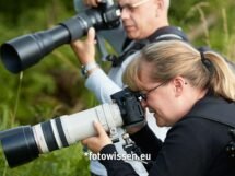 Teleobjektive für die Wildlife-Fotografie