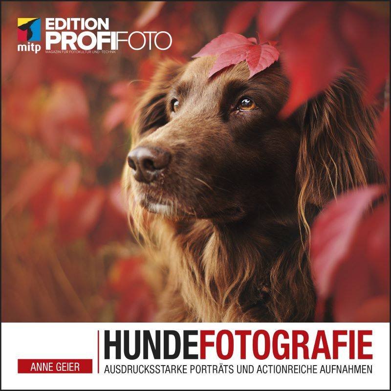Hundefotografie - Anne Geier - mitp-Verlag