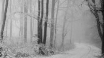 Nebliger Winterwald - Foto: Frank Seeber - *fotowissen Bild der Woche