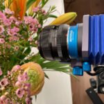 Makrofotos extremere Vergrößerungen – Automatisches Novoflex Balgengerät