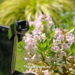 Pflanzenfotografie für Einsteiger und Fortgeschrittene - iPhone mit Makroobjektiv