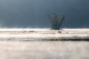 Nebel über dem See - Foto: Andreas Schneider - *fotowissen Bild der Woche