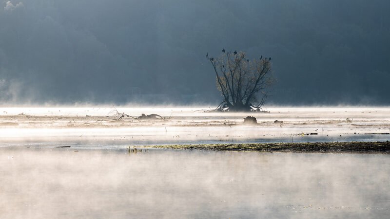 Nebel über dem See - Foto: Andreas Schneider - *fotowissen Bild der Woche