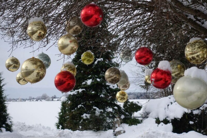 Weihnachtsbaum - Foto Roland Gosebruch - *fotowissen Bild der Woche