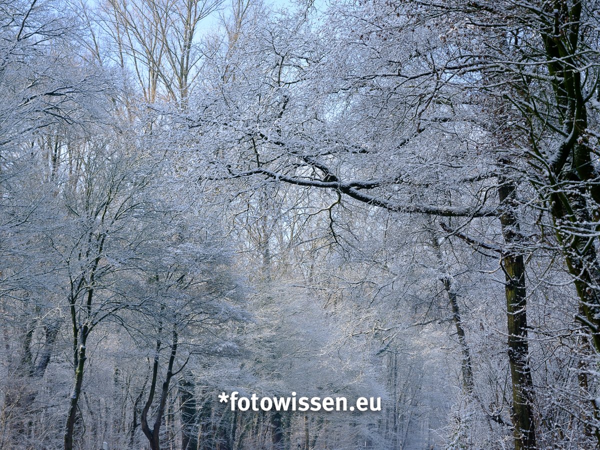 Fotoideen Winter Bilder belichten - Warm und Kalt