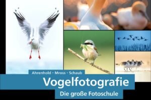 Cover Buch Vogelfotografie