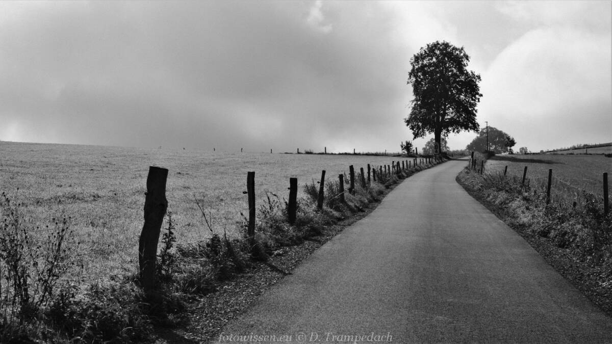 Leere Bilder Fotos vom Nichts - *fotowissen