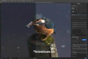 Ingenious ON1 Photo RAW 2024.3 with NoNoise AI update